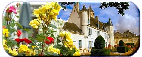La Maison  de l'Argentier du Roy 
